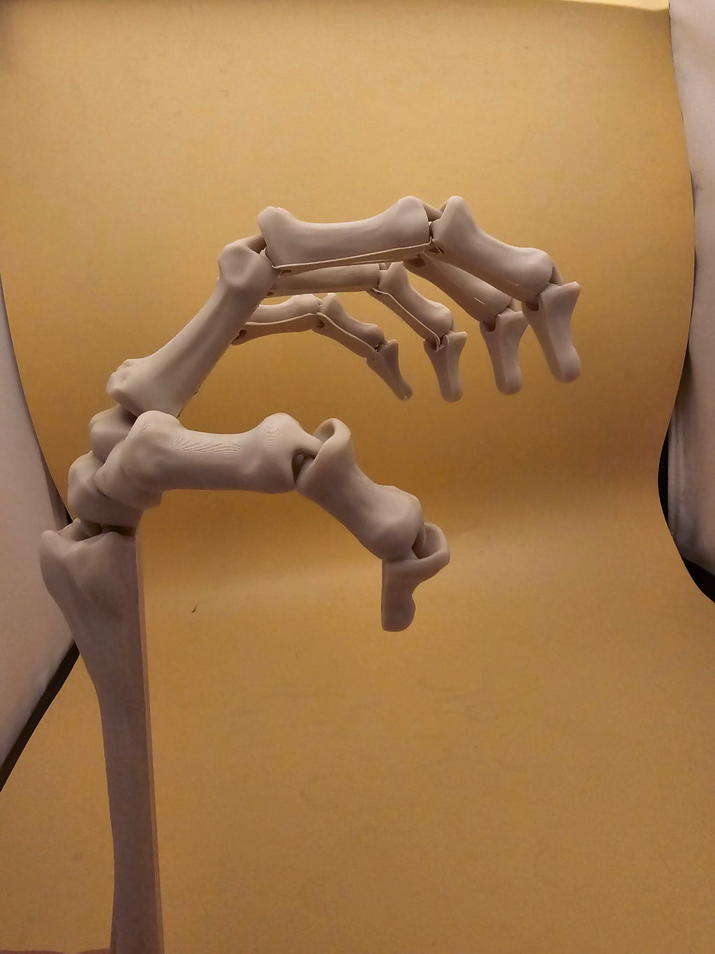 3D printed articulated skeleton hand