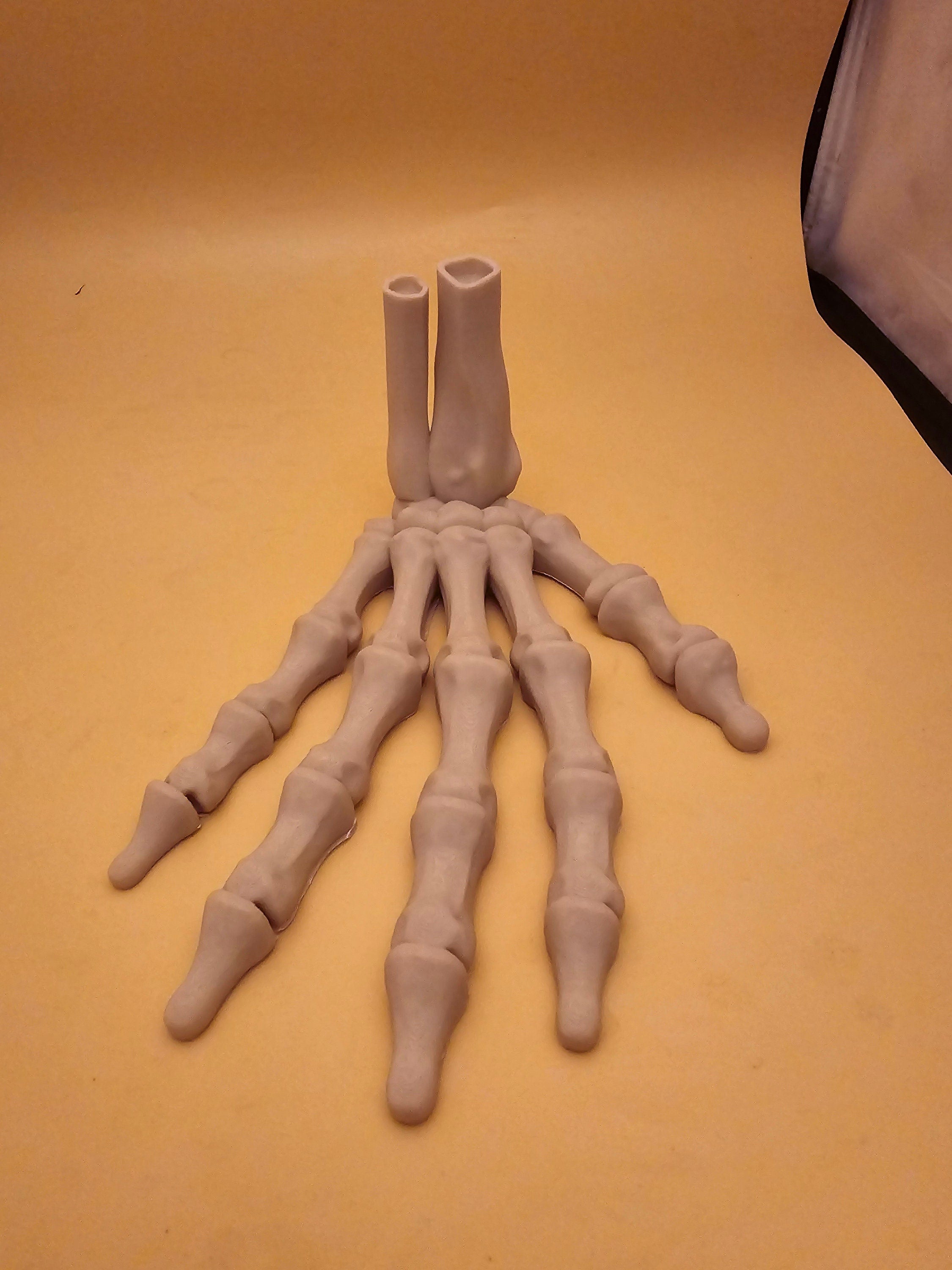3D printed articulated skeleton hand