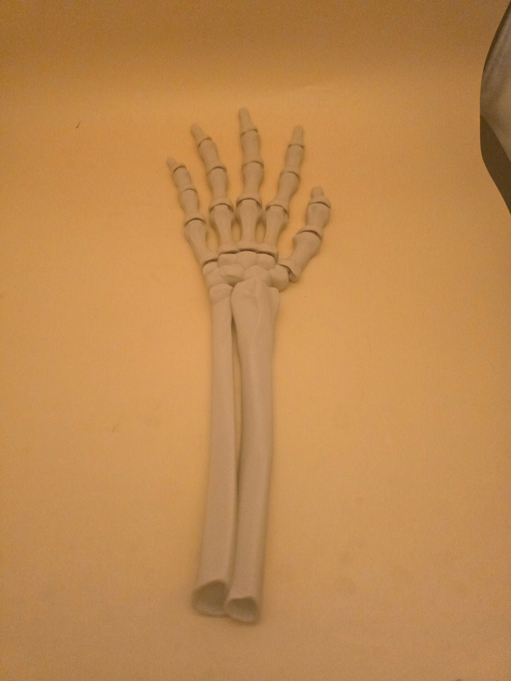 3D printed articulated skeleton hand