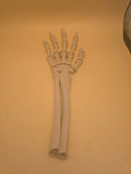 3D printed articulated skeleton hand