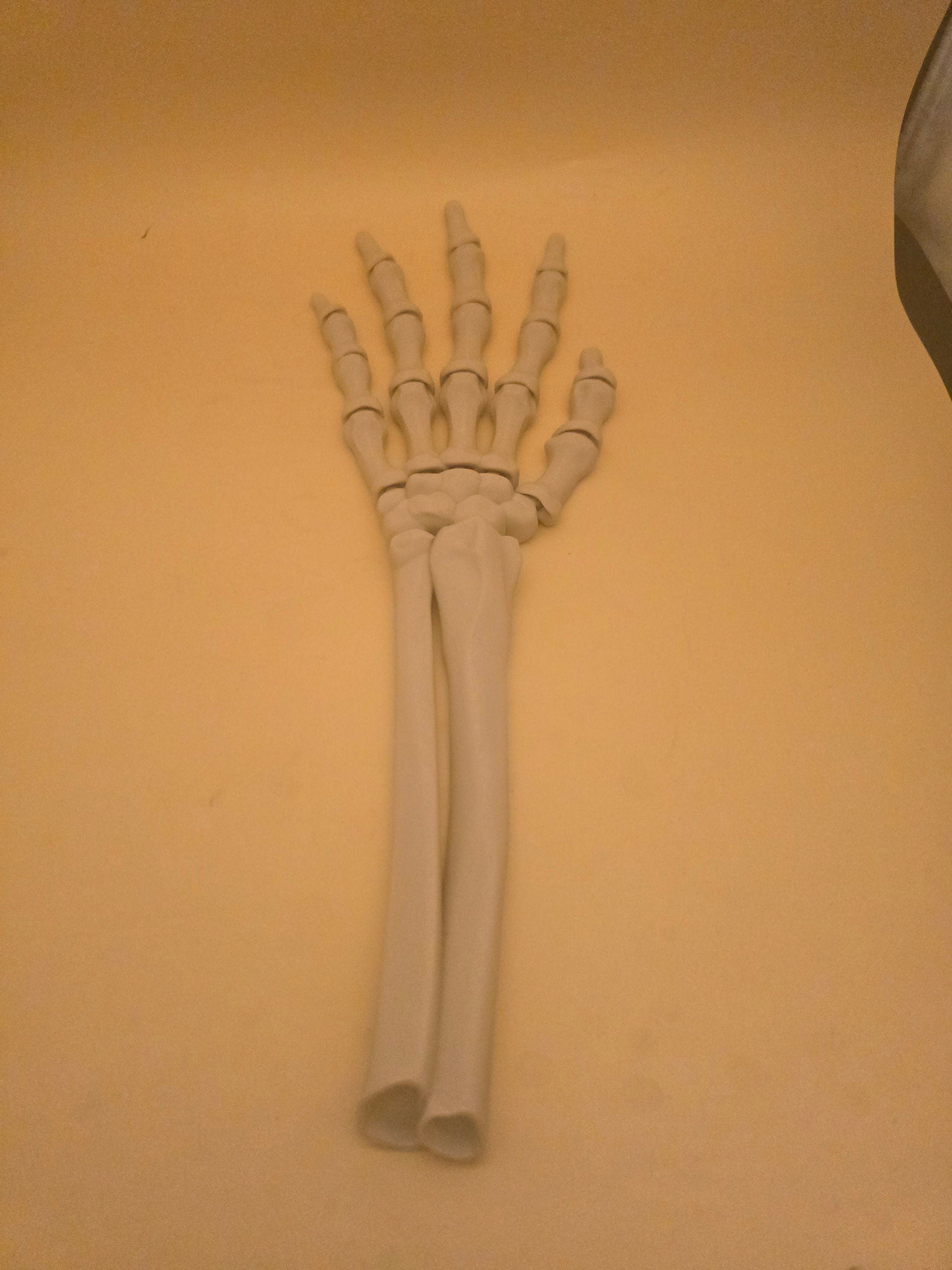 3D printed articulated skeleton hand