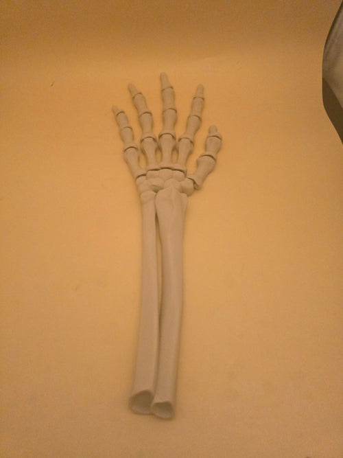 3D printed articulated skeleton hand