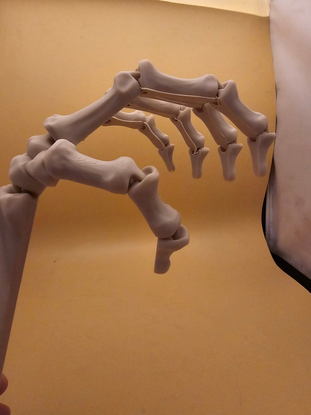3D printed articulated skeleton hand