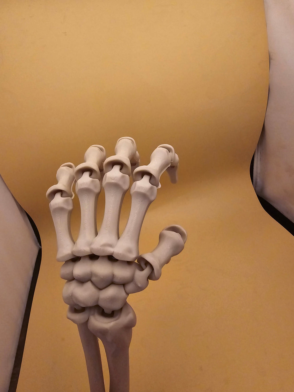 3D printed articulated skeleton hand