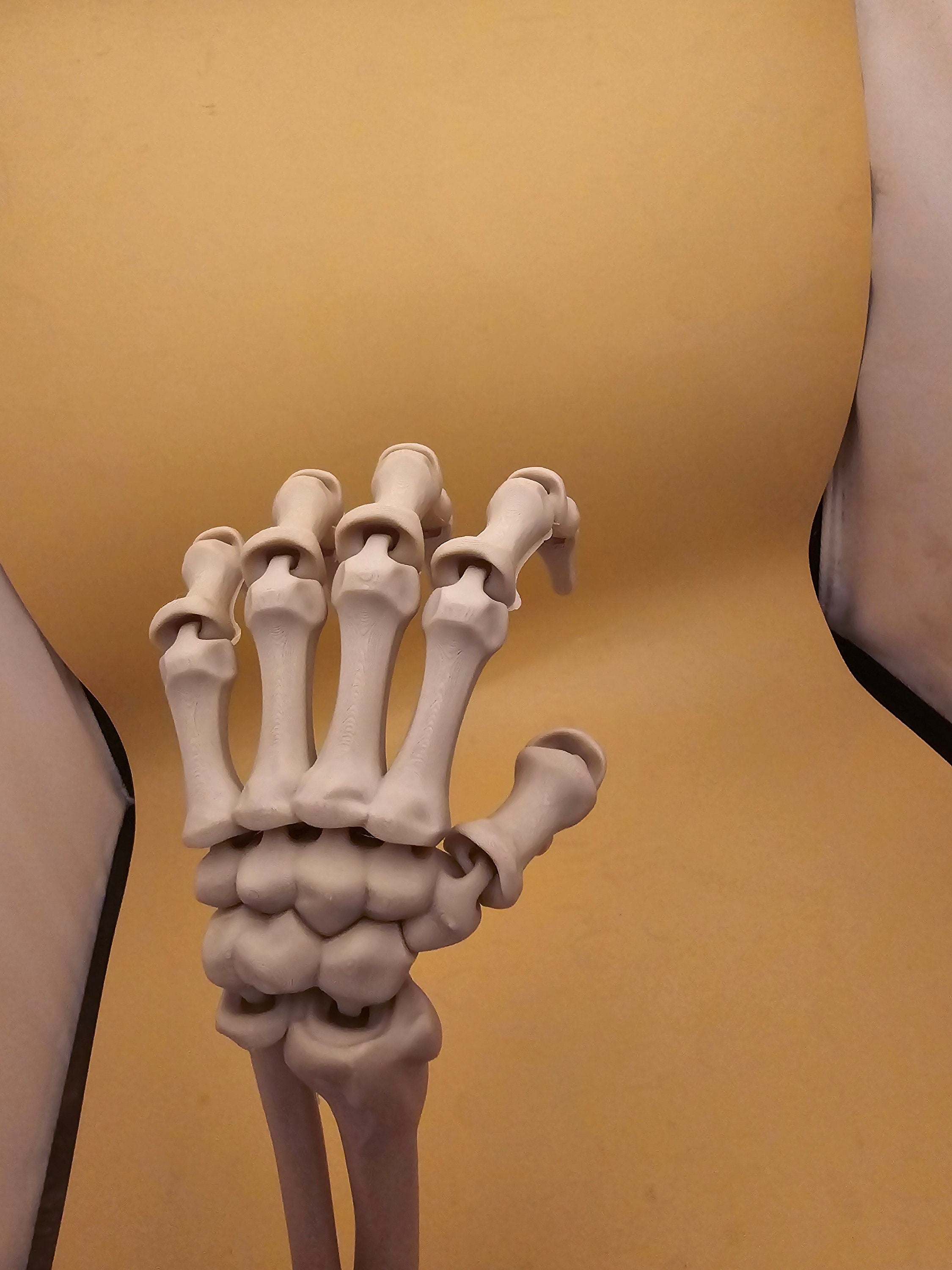 3D printed articulated skeleton hand