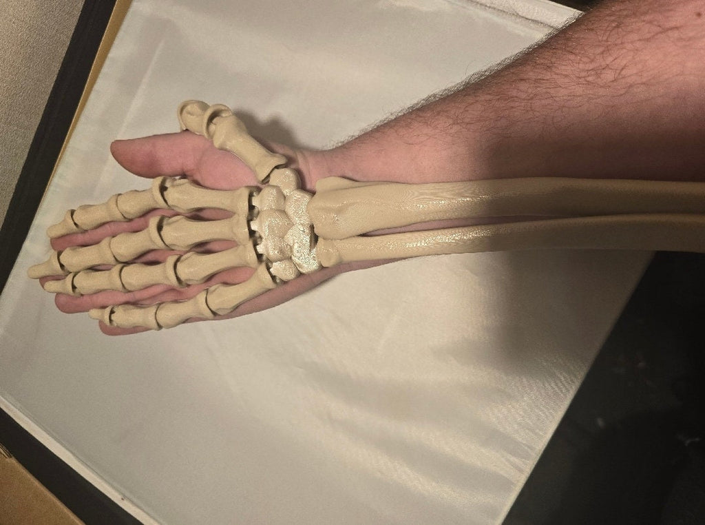 3D printed articulated skeleton hand