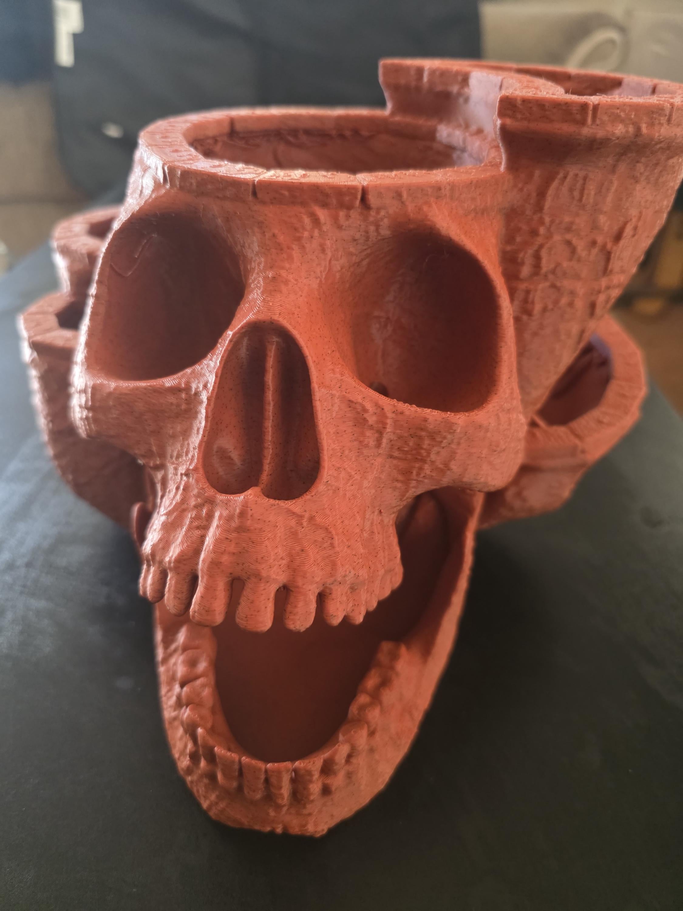 large 3D printed skull planter with drain holes suitable for indoor or outdoor