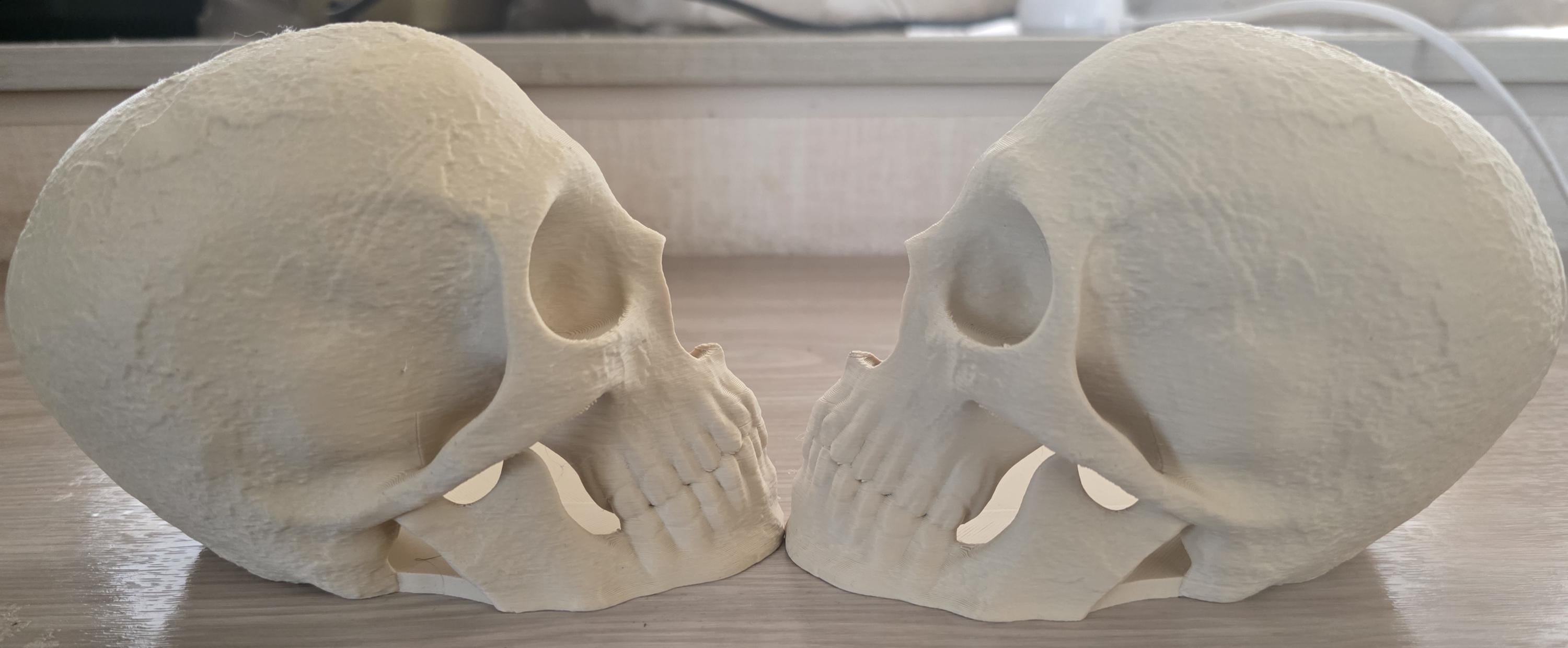 3D printed skull bookends
