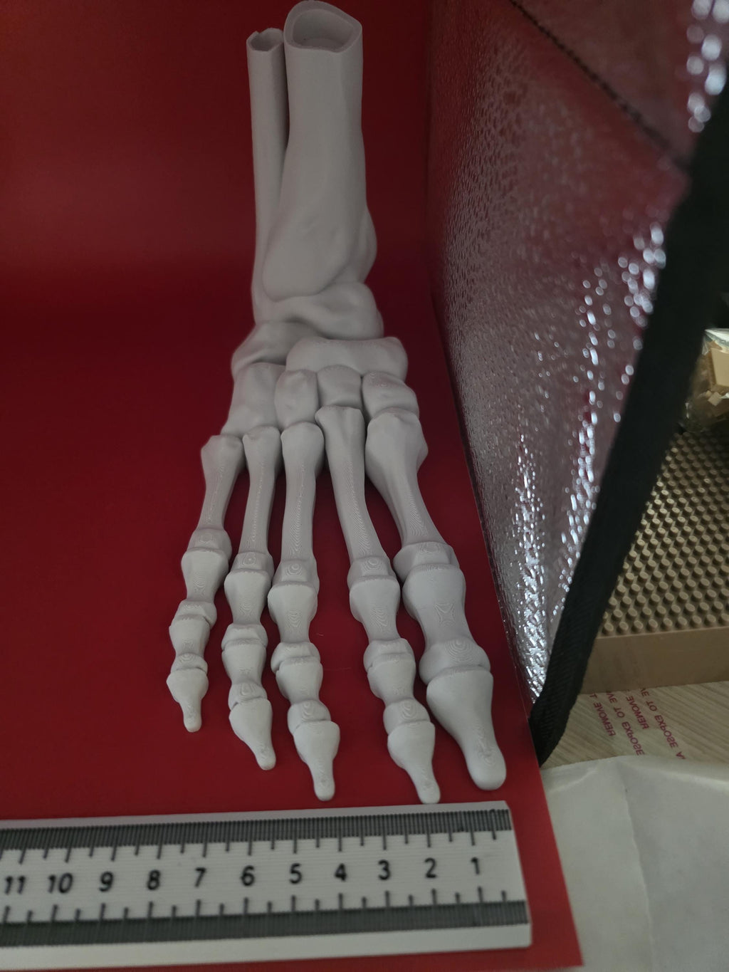 3D printed Large realistic articulated skeleton foot seasonal decor