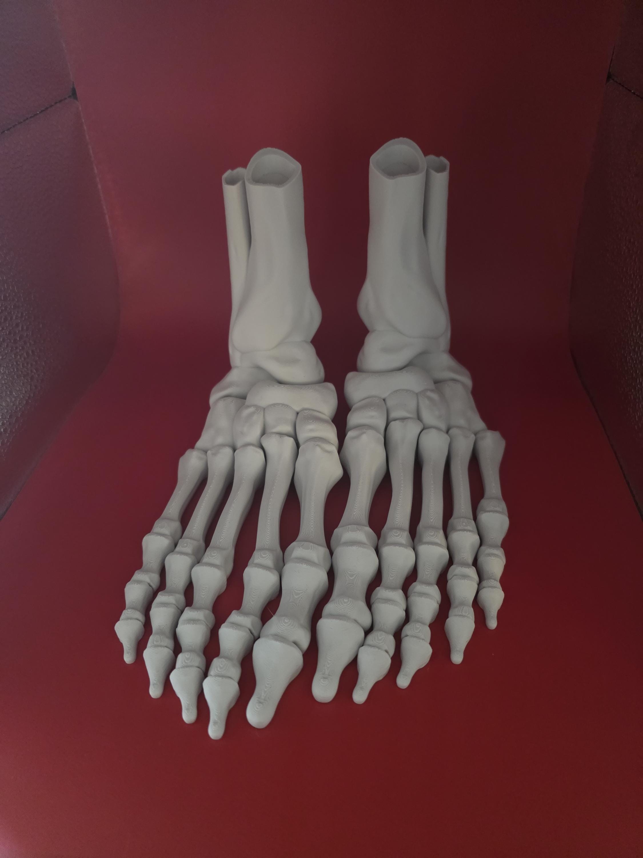 3D printed Large realistic articulated skeleton foot seasonal decor