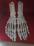 3D printed Large realistic articulated skeleton foot seasonal decor