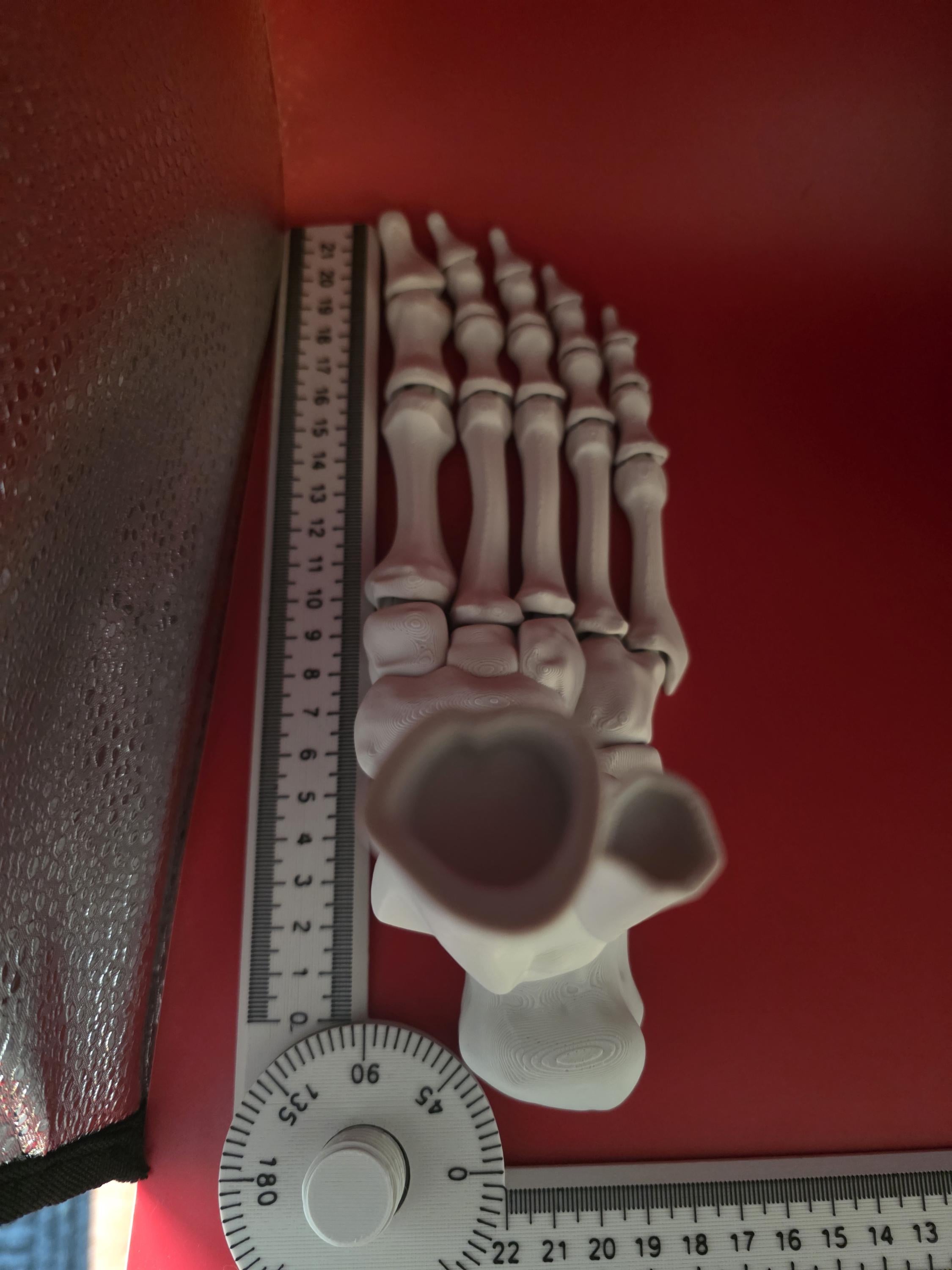 3D printed Large realistic articulated skeleton foot seasonal decor