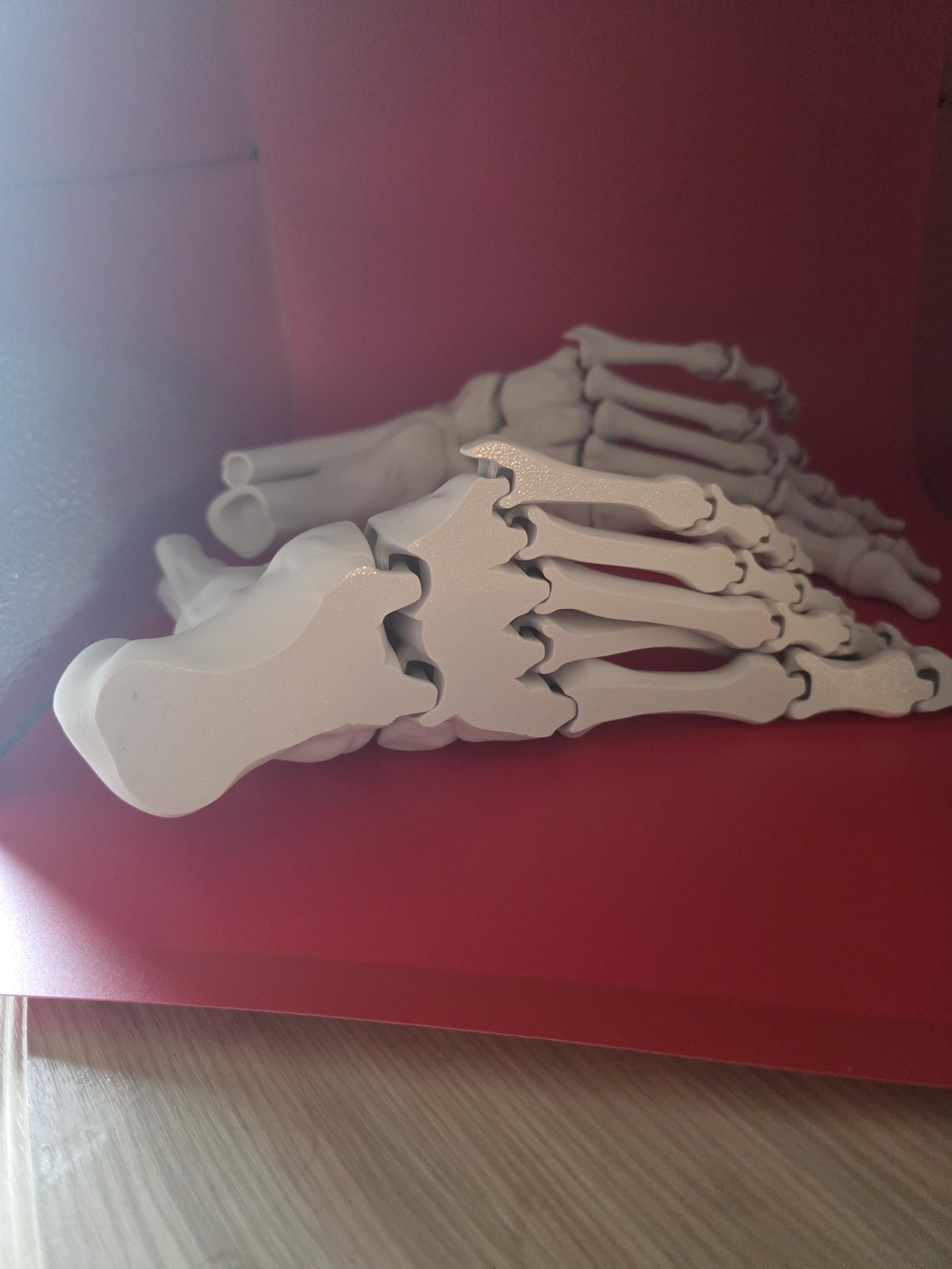3D printed Large realistic articulated skeleton foot seasonal decor